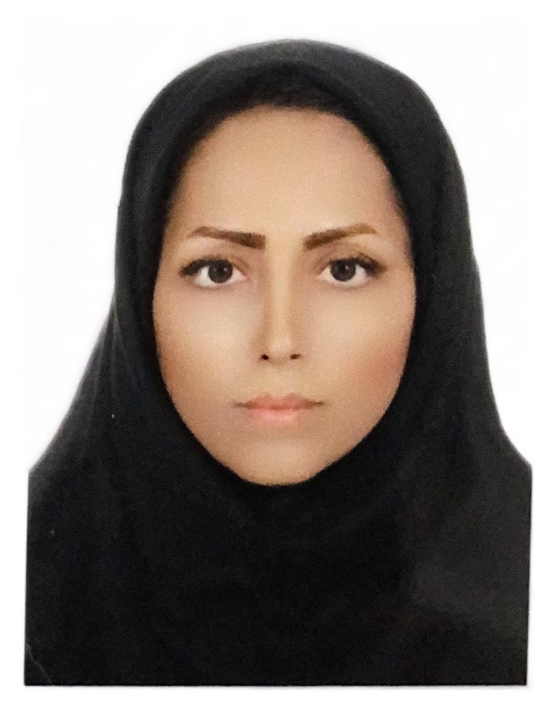 مینا نبئی